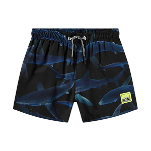 Купить Шорты Molo в Иркутске