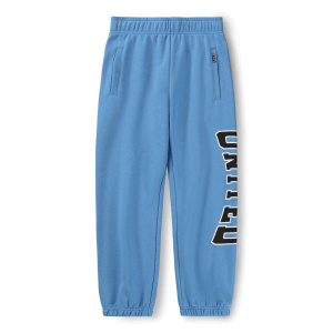 Купить Спортивные штаны Molo в Иркутске