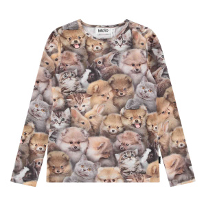 Купить Толстовка Molo в Иркутске