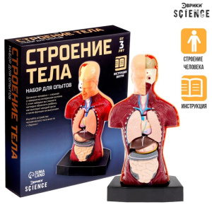 Купить Научный опыт "Строение тела"  в Иркутске
