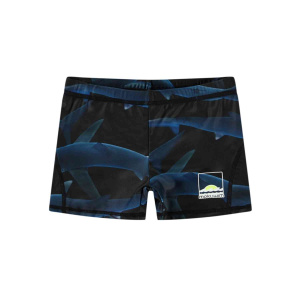 Купить Плавки Molo в Иркутске