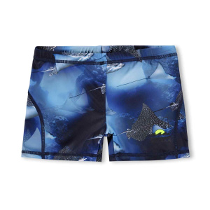 Купить Плавки Molo в Иркутске