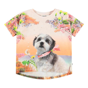 Купить Футболка Molo в Иркутске