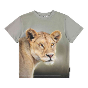 Купить Футболка Molo в Иркутске