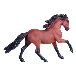 Купить Лузитанская лошадь в Иркутске
