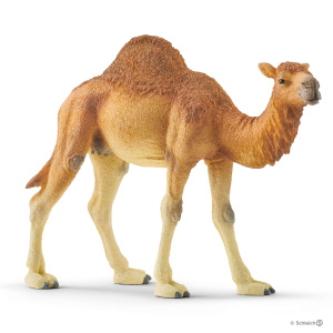 Купить Одногорбый верблюд Schleich в Иркутске