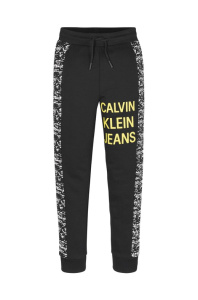 Купить Спортивные штаны Calvin Klein Jeans в Иркутске