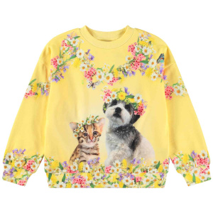 Купить Джемпер Molo в Иркутске