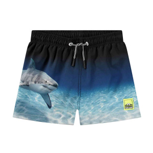 Купить Шорты Molo в Иркутске