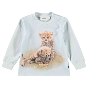 Купить Футболка Molo в Иркутске