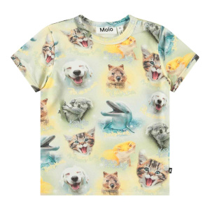 Купить Футболка Molo в Иркутске