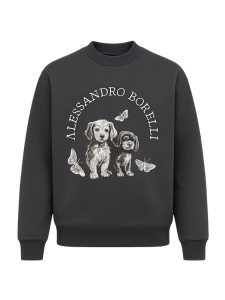 Купить Свитшот Alessandro Borelli в Иркутске