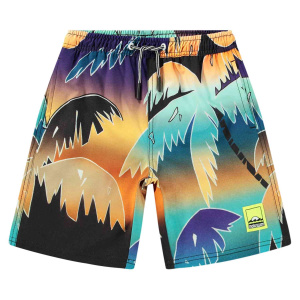 Купить Шорты Molo в Иркутске