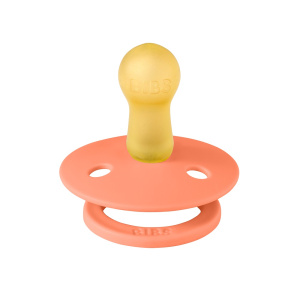 Купить Пустышка Bibs Colour 6-18 мес. в Иркутске