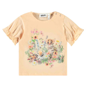 Купить Футболка Molo в Иркутске