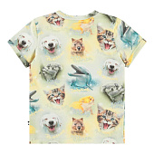 Купить Футболка Molo в Иркутске