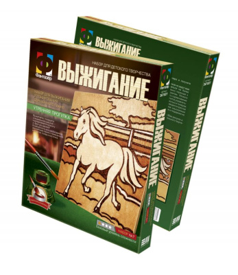 Купить Набор для выжигания Фантазер в Иркутске