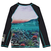 Купить Футболка с длинным рукавом для плавания Molo в Иркутске