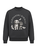 Купить Свитшот Alessandro Borelli в Иркутске