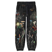 Купить Спортивные штаны MOLO в Иркутске