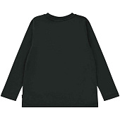 Купить Футболка MOLO в Иркутске