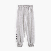 Купить Спортивные штаны BellBimbo в Иркутске