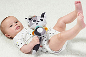 Купить Игрушка подвеска Tiny Love в Иркутске