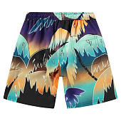 Купить Шорты Molo в Иркутске