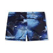 Купить Плавки Molo в Иркутске