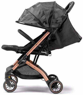Купить Коляска прогулочная Compass в Иркутске