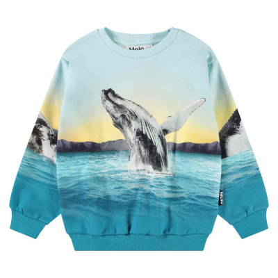 Купить Джемпер Molo в Иркутске