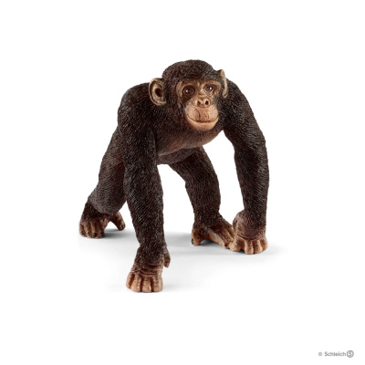 Купить Шимпанзе, самец Schleich в Иркутске