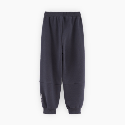 Купить Спортивные штаны BellBimbo в Иркутске