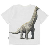 Купить Футболка Molo в Иркутске