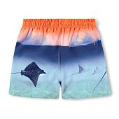 Купить Шорты Molo в Иркутске