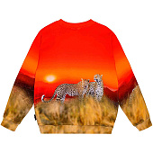 Купить Джемпер Molo в Иркутске