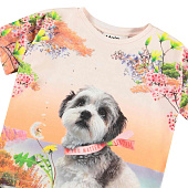 Купить Футболка Molo в Иркутске