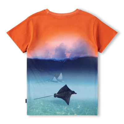 Купить Футболка Molo в Иркутске