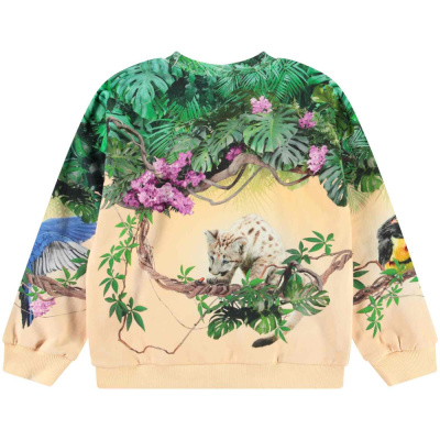 Купить Джемпер Molo в Иркутске