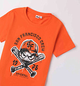 Купить Футболка IDO в Иркутске