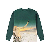 Купить Толстовка Molo в Иркутске