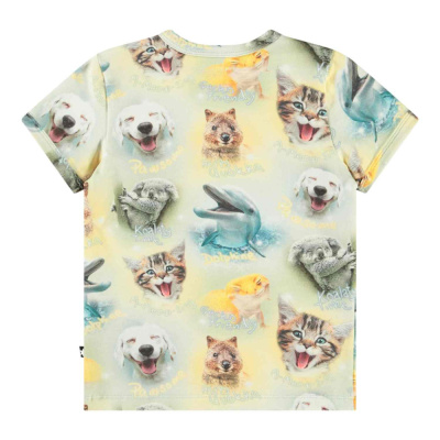 Купить Футболка Molo в Иркутске