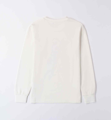 Купить Толстовка IDO в Иркутске