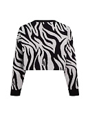 Купить Свитшот Alessandro Borelli в Иркутске