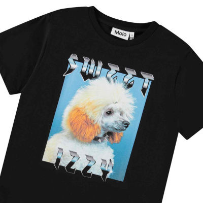 Купить Футболка Molo в Иркутске