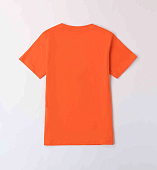 Купить Футболка IDO в Иркутске