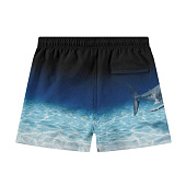 Купить Шорты Molo в Иркутске