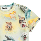 Купить Футболка Molo в Иркутске