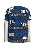 Купить Толстовка Guess в Иркутске