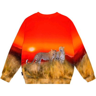 Купить Джемпер Molo в Иркутске